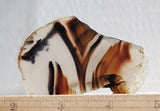 Montana Agate Rock Slab 214