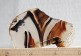 Montana Agate Rock Slab 214