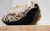 Montana Agate Rock Slab 154