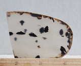 Montana Agate Rock Slab 204