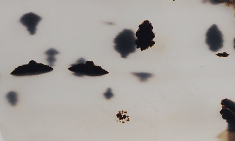 Montana Agate Rock Slab 204