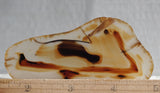 Montana Agate Rock Slab 183