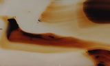 Montana Agate Rock Slab 183