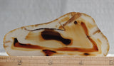 Montana Agate Rock Slab 183