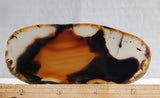 Montana Agate Rock Slab 179
