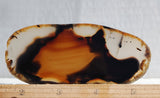 Montana Agate Rock Slab 179