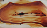 Montana Agate Rock Slab 161