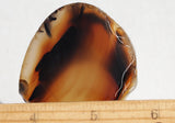 Bargain Bin F Slab 229