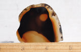 Bargain Bin F Slab 188