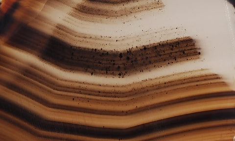 Montana Agate Rock Slab 219