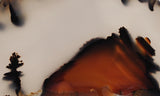 Montana Agate Rock Slab 202