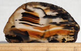 Montana Agate Rock Slab 184