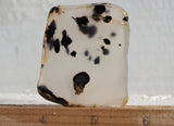 Montana Agate Rock Slab 152