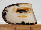 Montana Agate Rock Slab 201