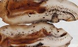 Montana Agate Rock Slab 209