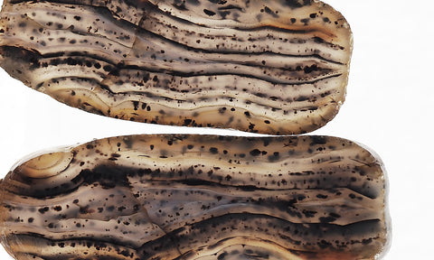 Montana Agate Rock Slab 198