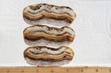 Montana Agate Rock Slab 201