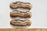 Montana Agate Rock Slab 201