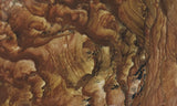 Deschutes Jasper Rock Slab 93