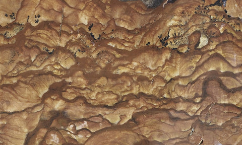 Biggs Jasper Rock Slab 479