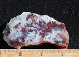 Mexican Moss Agate Rock Slab 295