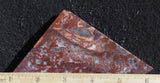 Paul Bunyan Agate Rock slab 99