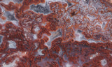 Paul Bunyan Agate Rock slab 99