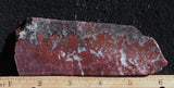 Paul Bunyan Agate Rock slab 98