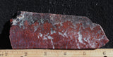 Paul Bunyan Agate Rock slab 98