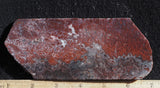 Paul Bunyan Agate Rock slab 97