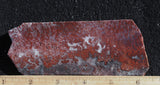 Paul Bunyan Agate Rock slab 96