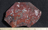 Paul Bunyan Agate Rock slab 92