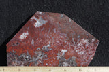 Paul Bunyan Agate Rock slab 95