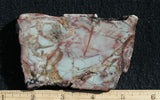 Mescalero Slab 61