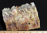 Bella Vista Agate Rock Slab 47