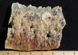 Bella Vista Agate Rock Slab 46