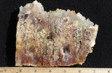 Bella Vista Agate Rock Slab 44