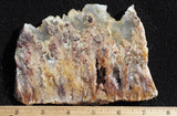 Bella Vista Agate Rock Slab 42