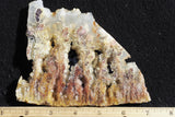 Bella Vista Agate Rock Slab 50