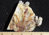 Bella Vista Agate Rock Slab 45