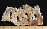 Bella Vista Agate Rock Slab 54