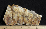 Bella Vista Agate Rock Slab 52