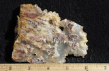 Bella Vista Agate Rock Slab 51