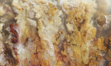 Bella Vista Agate Rock Slab 49