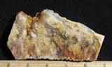 Bella Vista Agate Rock Slab 48