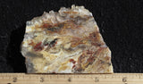 Bella Vista Agate Rock Slab 59