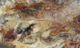 Bella Vista Agate Rock Slab 59