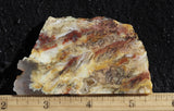 Bella Vista Agate Rock Slab 60