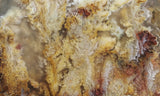 Bella Vista Agate Rock Slab 56