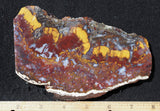 Mexican Moss Agate Rock Slab 279